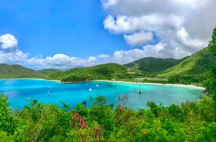 Scenic view of USVI National Park