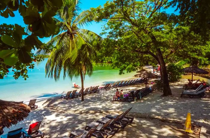 A glimpse of beachgoers relaxing on the shore, framed by trees