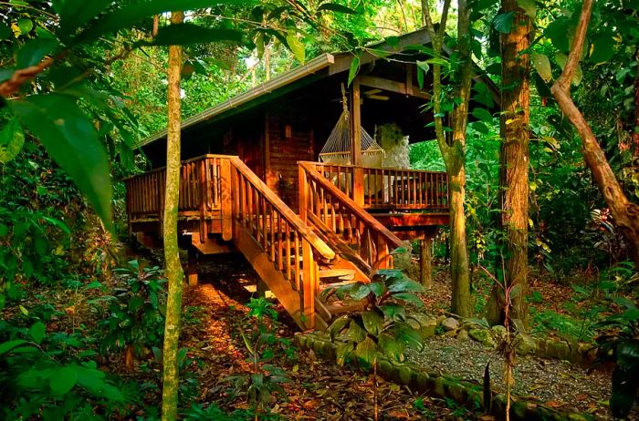 A cozy cabin nestled in the woods.