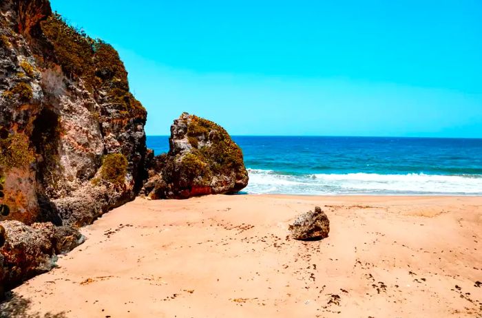 Stunning view of rocks lining the beach under a clear blue sky in Isabela, Puerto Rico