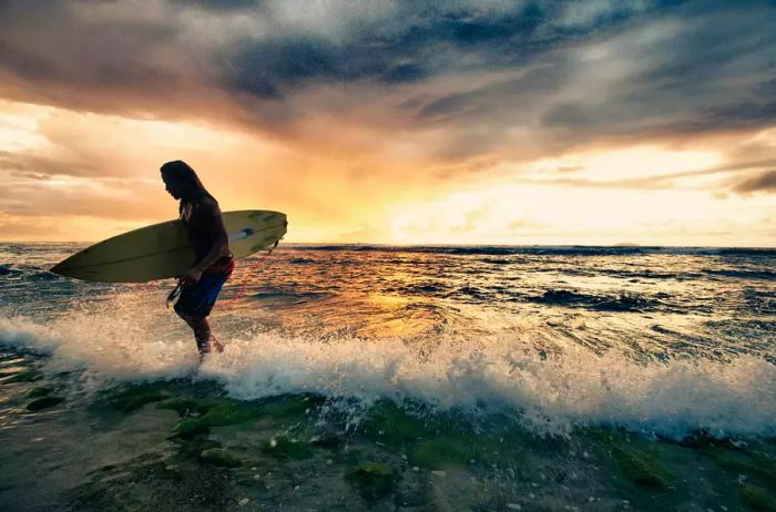 Surfer coming out of the water with a surfboard during sunset in Rincón, Puerto Rico