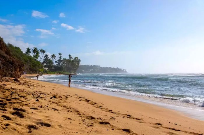 A surfer on the beach in Oahu