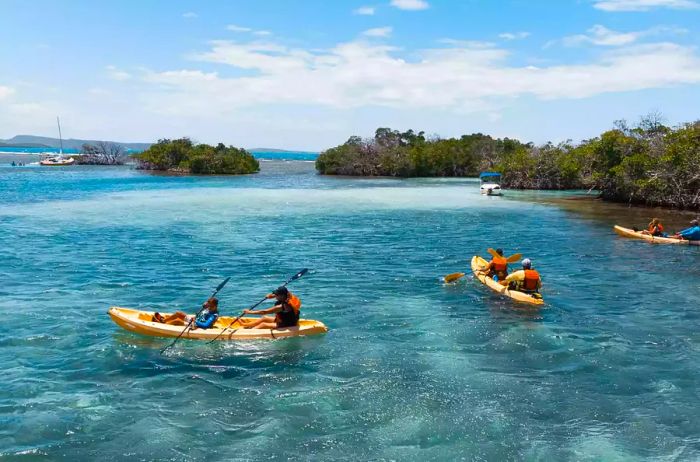 Kayakers enjoying the coastal waters of Parguera