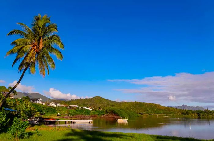 Papa o He'Eia Fishpond