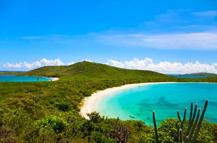 Aerial view of Turtle Beach, Culebrita Island, Puerto Rico