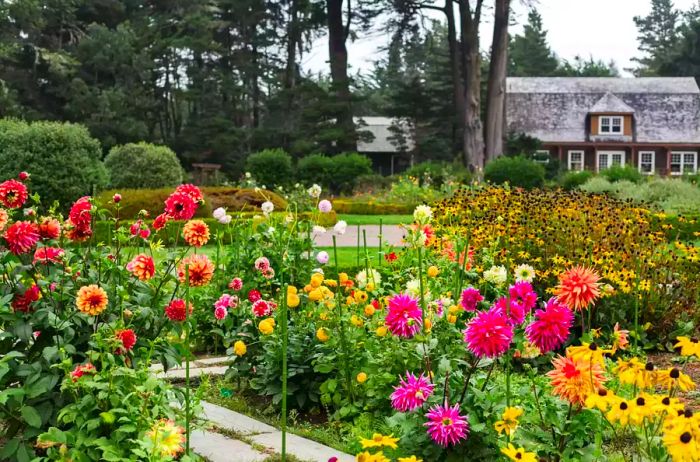 Vibrant flowers in bloom at Shore Acres Botanical Gardens in Oregon.