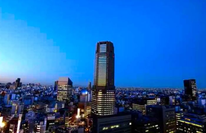 Other Options: Cerulean Tower Tokyu Hotel