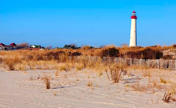 Lighthouse at Higbee Beach, Cape May