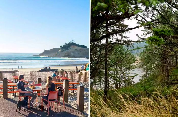 A pair of images capturing moments from the Oregon Coast, showcasing diners on the waterfront terrace at Pelican Brewing and lush greenery along a trail at Cape Arago.