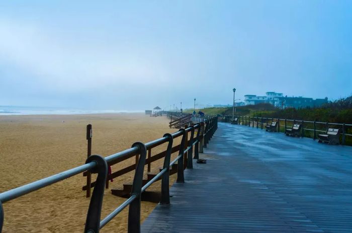 Misty morning at Spring Lake Boardwalk