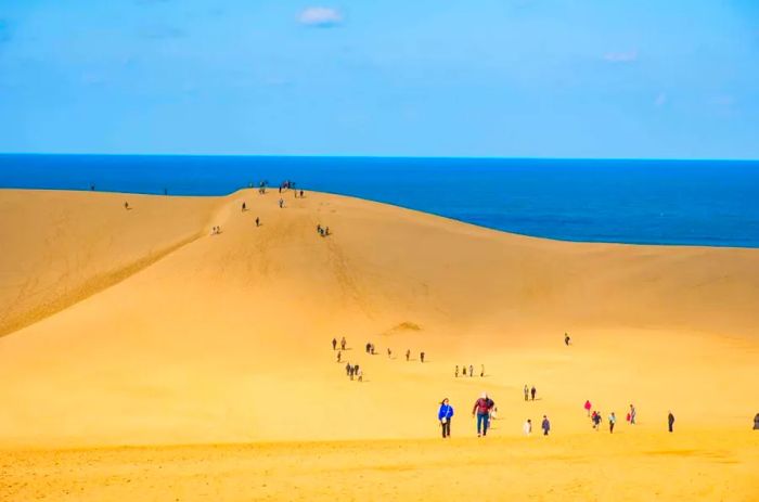 Tottori Sand Dunes