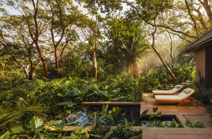 Private plunge pool and lounge chairs nestled in the jungle, illuminated by sunlight.