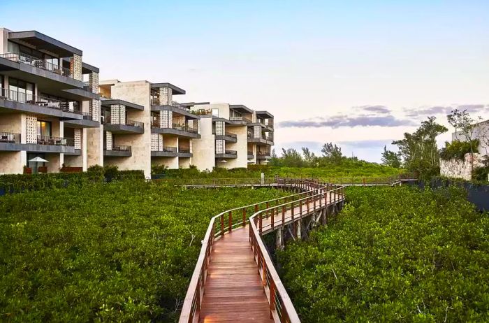 Pathway surrounded by greenery, showcasing the exterior of guest rooms at Etéreo, Auberge Resorts Collection