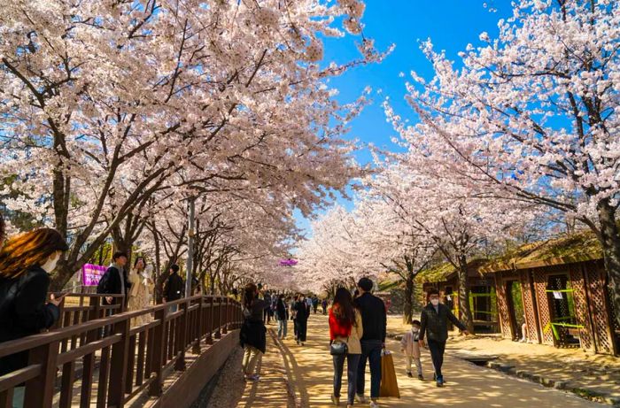 Seoul Forest