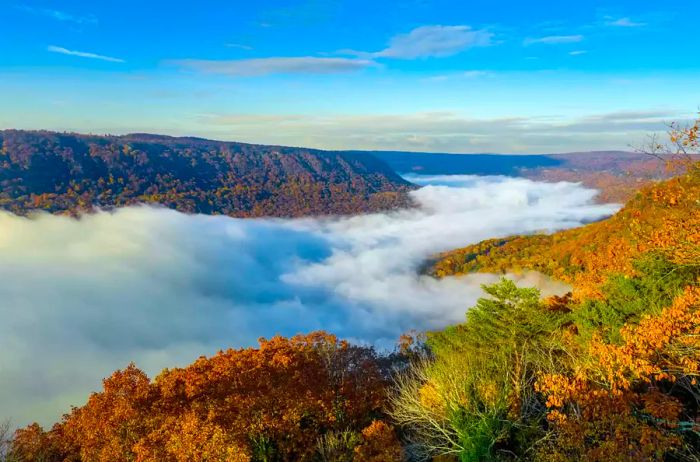 Breathtaking landscape with mist over the Tennessee River