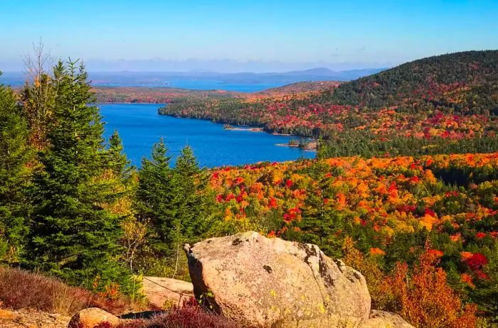 Autumn Views from Acadia National Park, Maine