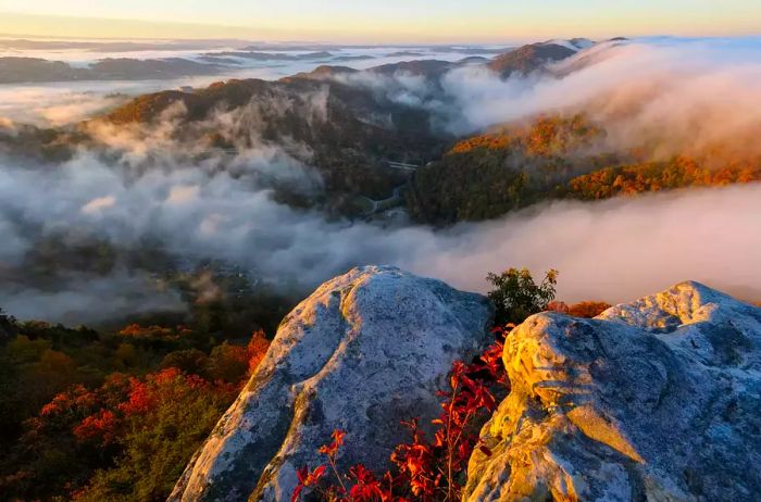 Dawn at Pinnacle Overlook, enveloped in fog, Cumberland Gap National Historic Park, Virginia, Tennessee, USA.