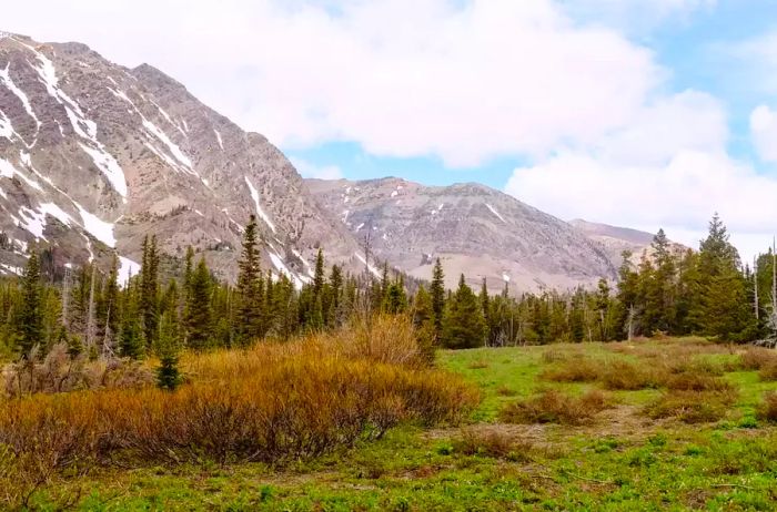 Scenic view in Glacier National Park