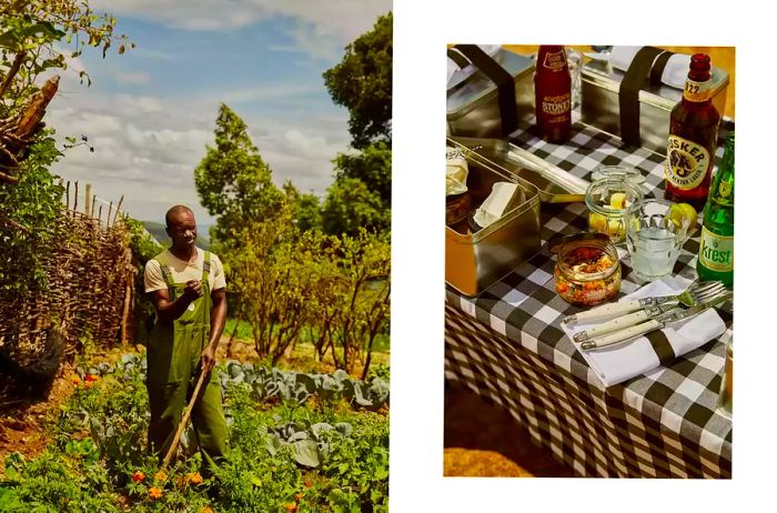 Gardener and picnic lunch at Angama in Kenya