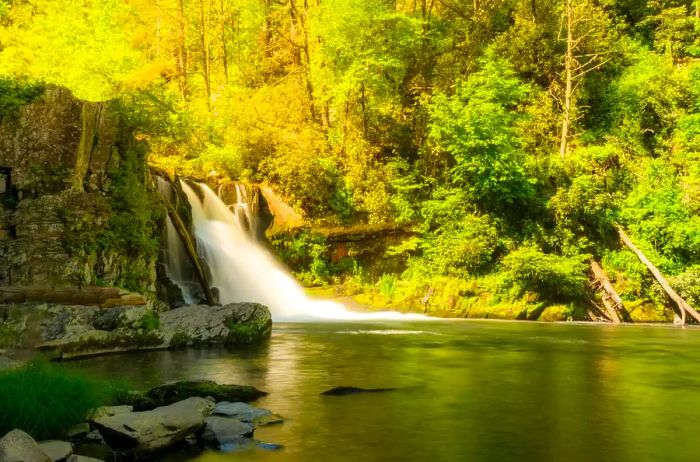 Cades Cove Loop in Great Smoky Mountains National Park, Tennessee. A scenic destination for tourists. Horizontal landscape.