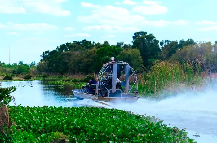 An airboat adventure in the Everglades