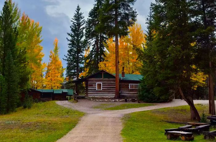 Vibrant Foliage Surrounding the Holzwarth Historic Site -