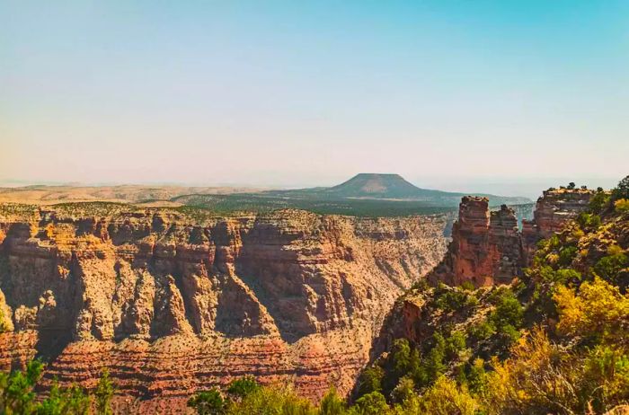 View of the Grand Canyon