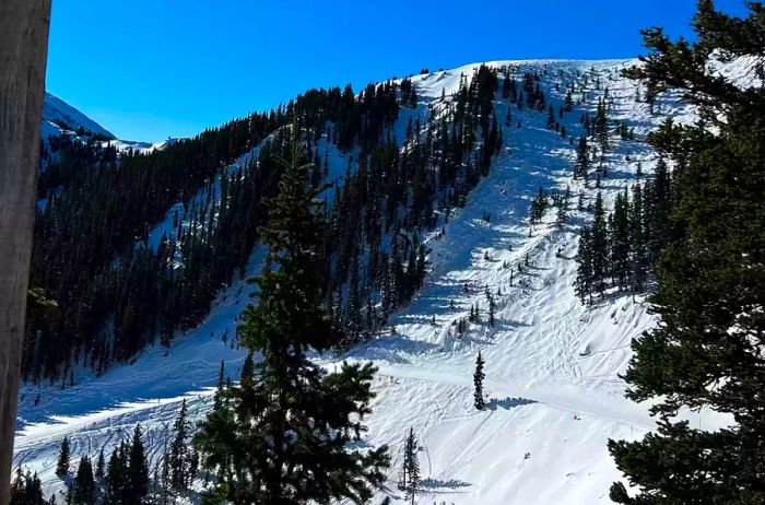 Gazing at Taos Ski Valley