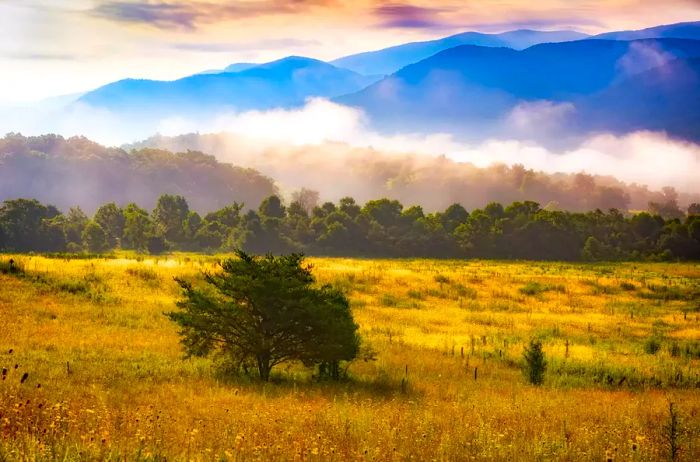 The Smoky Mountains viewed from Cades Cove.