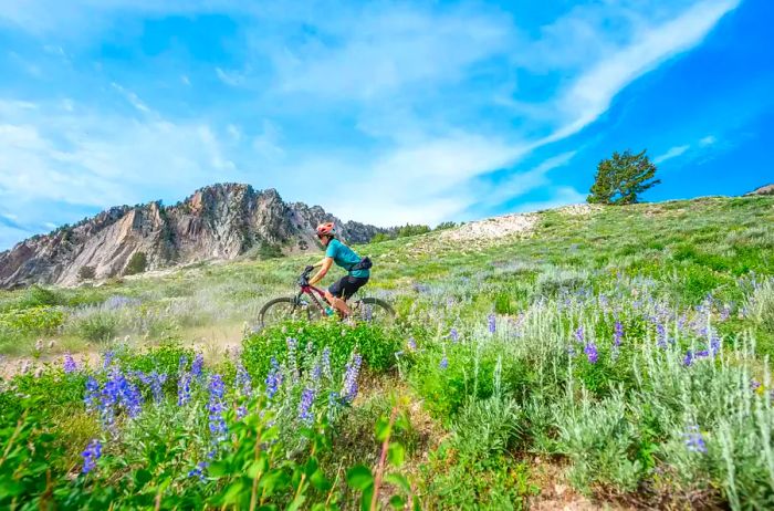 Mountain biking at Snowbasin, Utah