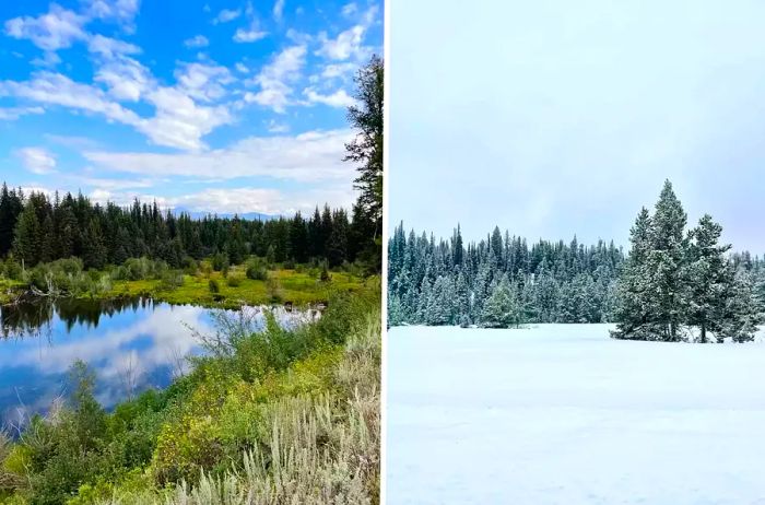 Right: A snowy scene in the Grand Tetons; Left: A lake framed by lush green trees