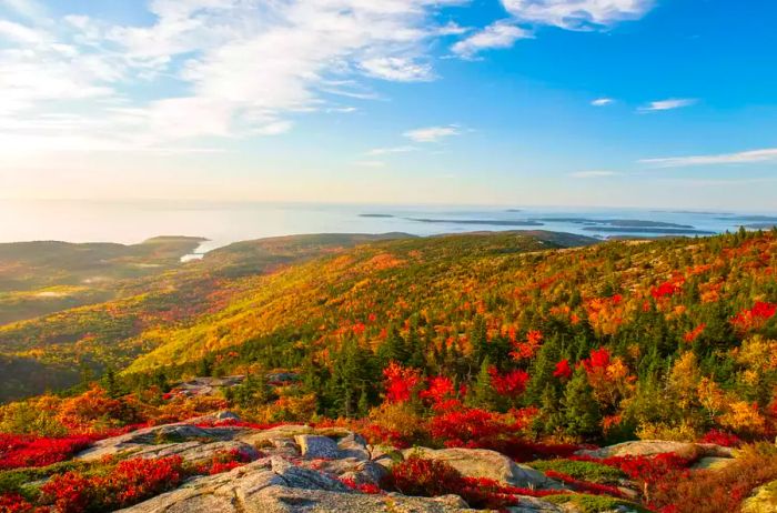 Cadillac Mountain at Dawn in Fall, Acadia National Park, Mount Desert Island, Maine, USA