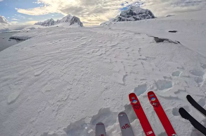 Skis resting on a snowy glacier on Enterprise Island, Antarctica.