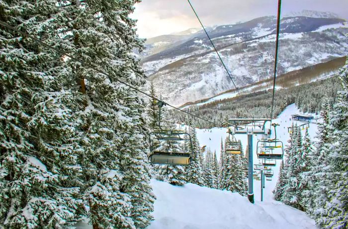 An empty ski lift beside a snowy evergreen tree in Vail, Colorado