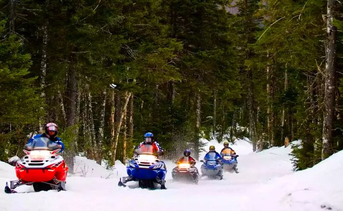 Snowmobiles available at Bretton Woods