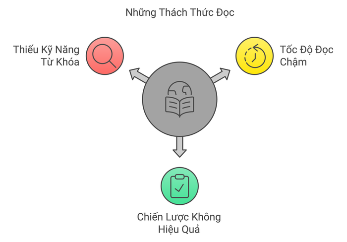 Cấp độ trung cấp (Intermediate)