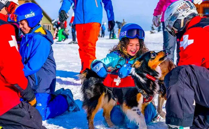 Avalanche dogs at Keystone Resort