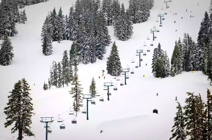 Skiers Enjoying a Day on the Slopes