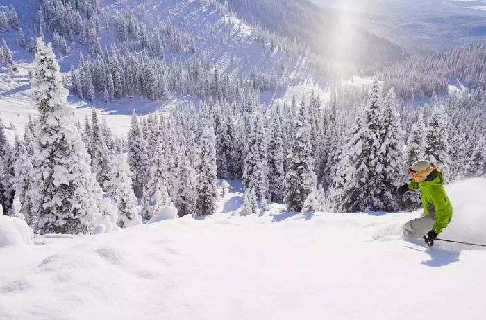 Montana, Whitefish, skier on slope