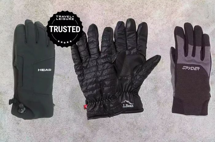 Top winter gloves showcased on a gray backdrop