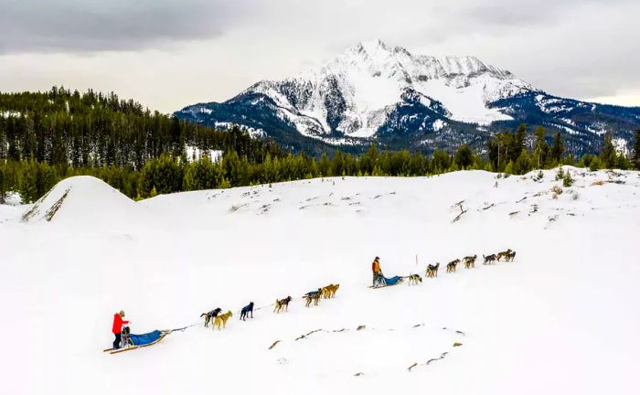 Dog sledding at Big Sky Resort in Montana