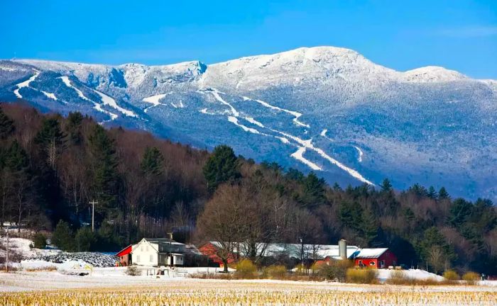 Stowe Mountain Resort