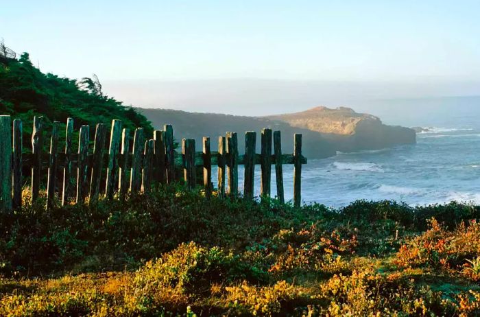 A view of the water from the Bluff Trail at Sea Ranch.