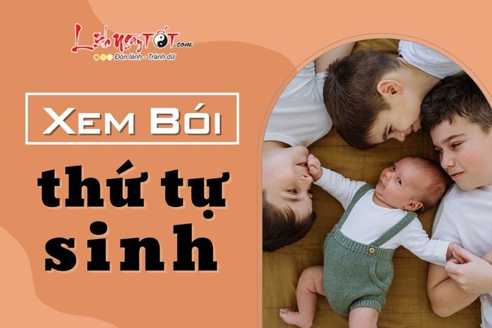 Khám phá về thứ tự sinh