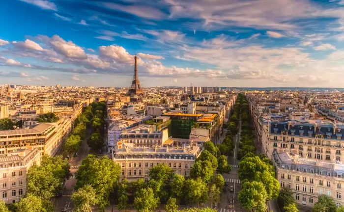 Rooftops of Paris with the Eiffel Tower