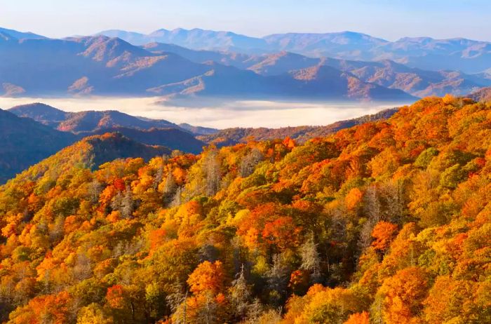 Mountains cloaked in morning fog, adorned with autumn colors