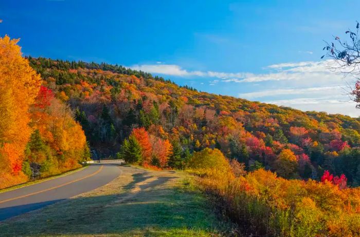 A winding road traversing the mountains, enveloped by autumn colors