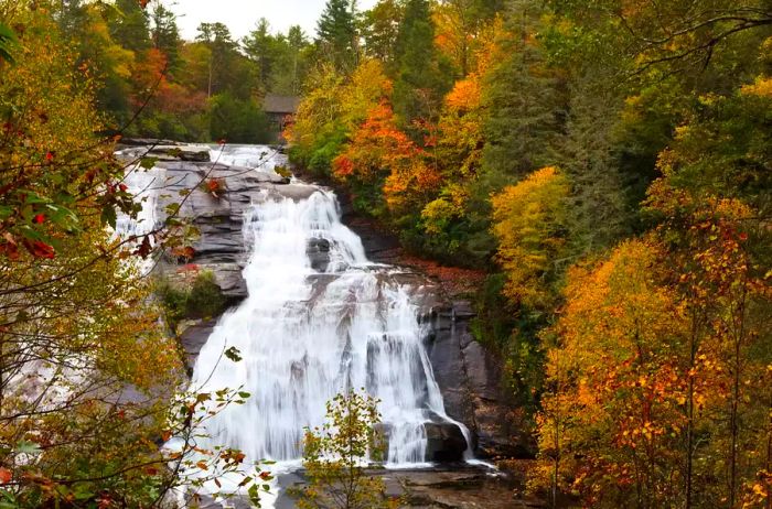 Autumn foliage surrounding High Falls in Dupont State Forest