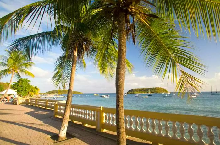 The Malecon boardwalk and palm trees, with Cayo Afuera island visible in the distance. | Location: Esperanza, Vieques, Puerto Rico.