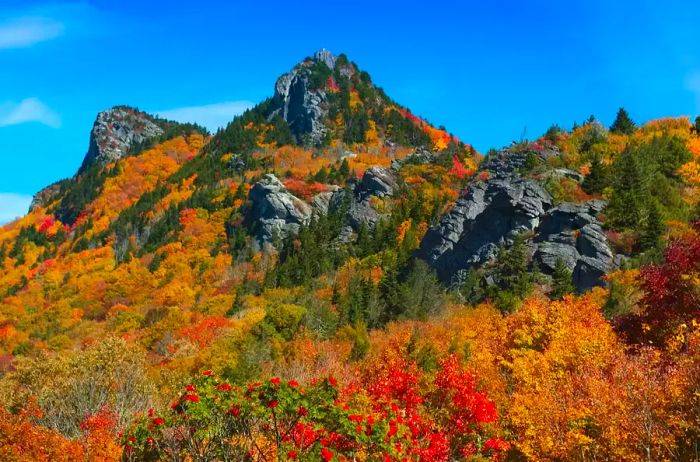 The western face of Grandfather Mountain.